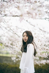 Ms. Eri Noina is wearing white clothes with the cherry blossoms in full bloom in the background, she is a tall, beautiful and elegant Japanese & Asian fashion model and parts model, her height is 171 cm, she is tall, and her figure is very slender and beauty woman.
